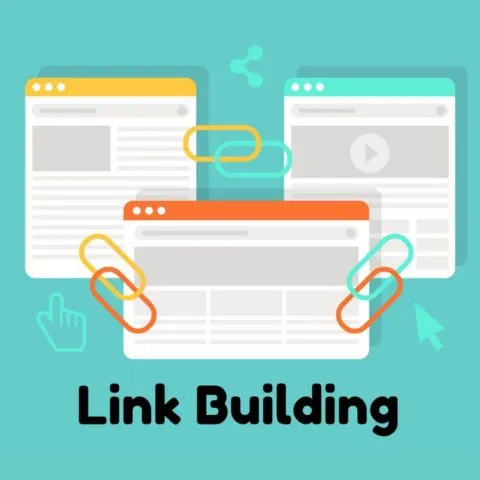 Professional Link Building Solutions