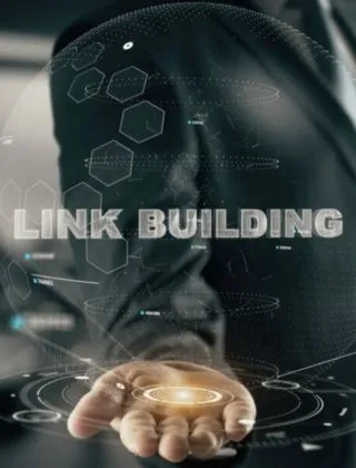 Professional Link Building Solutions